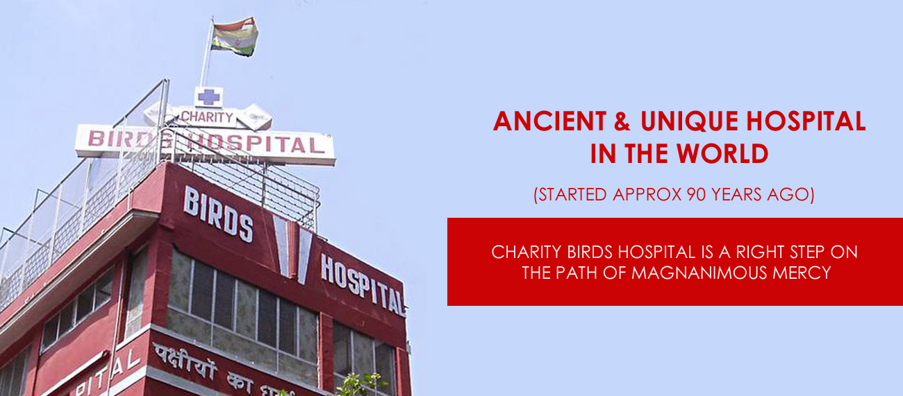 Charity Birds Hospital